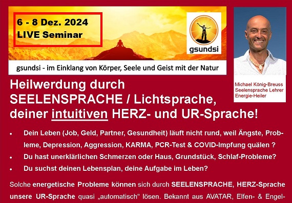 Seelensprache-Lichtsprache_SEMINAR_LIVE_Banner_2024.Basel-Zwingen_Banner_570