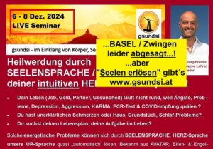 Seelensprache-Lichtsprache_SEMINAR_LIVE_Banner_2024.Basel-Zwingen_Banner-ABSAGE+Seelen erlösen_570